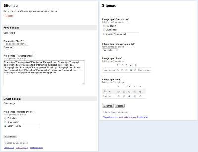Prikaz prikupljenih podataka u Google Spreadsheetsu