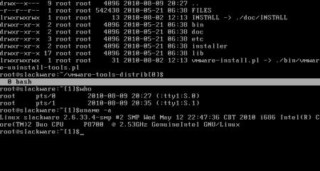Prikaz podijeljeног terminala na dvije regije u GNU Screenu